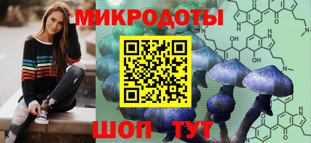Псилоцибиновые грибы Cubensis Верхний Уфалей