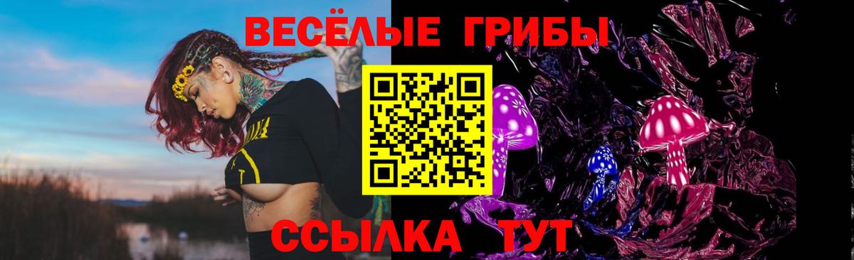 Псилоцибиновые грибы MAGIC MUSHROOMS  Вход с VPN  Псилоцибиновые грибы мухоморы  Верхний Уфалей 